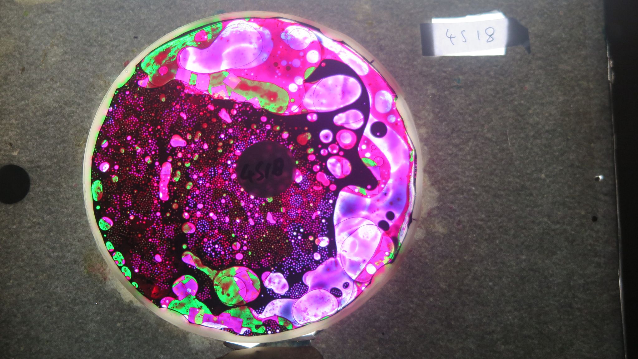 BV4518 bubble vision oil wheel